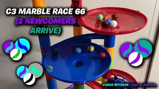 C3 Marble Race 66 (2 Newcomers Arrive)