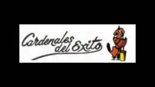 Cardenales del Exito - Cadencia Cardenal