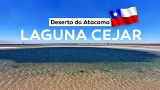 Laguna Cejar | Deserto do Atacama