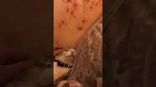 Васюка