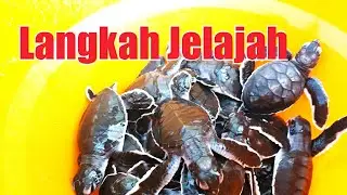 Perjalanan Ajaib, Harmoni Alam Merubetiri (teaser)