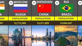 Top 30 Largest Cities in the World 2024