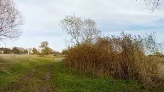 Небольшая прогулка к озеру 🏞️