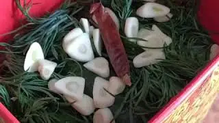 Малосольные огурцы