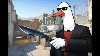 STREAM 2 | ROAD TO 30K ELO | CS2 |