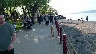 21 Nisan 2024 Pazar, hava oldukça sıcak Değirmendere'de.