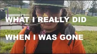 what i really did when i was gone