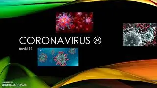 C006 Coronavirus lesson