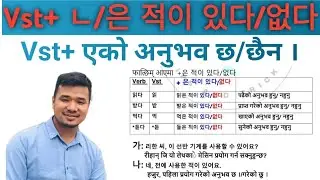 ㄴ/은 적이 있다/없다 EPS TOPIK Grammar in Nepali  Chapter 48