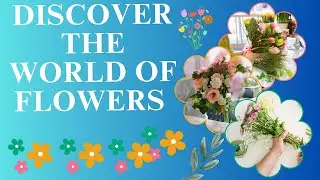 🌸 Discover the World of Flowers | Fun and Educational Video for Kids 🌸