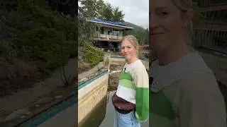 POV: you decide to reno an abandoned home with your partner