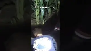 Encontramos ele desmaiado #lendas #espíritos #magia  #sobrenatural #terror