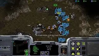 Starcraft Remastered 오랜만에 스타 vs 저그전2(24.11.01)
