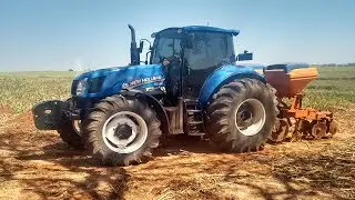 Cultivando com T6 120