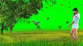 Trending Nature Green Screen Status Videos Effects ll Bewafa Green Screen