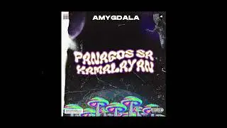 Panagos Sa Kamalayan -  Amygdala