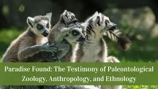 Paradise Found: The Testimony of Paleontological Zoology, Anthropology, and Ethnology