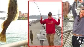 Catching HALIBUT in San Francisco from the Pier!