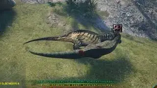 Acro Sneak Attack 1V1 | Beasts Of Bermuda