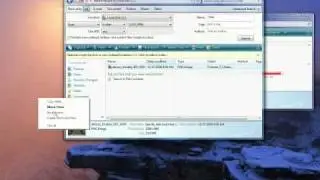 Windows 8
