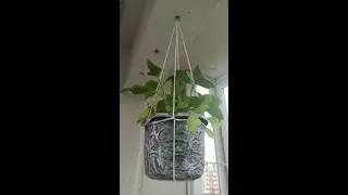 Кашпо из шнура за 1 минуту.