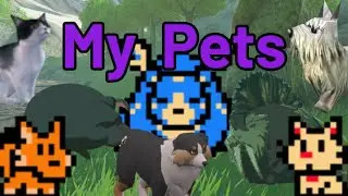 Introducing My Pets!! 2k Sub Special!