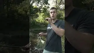 The Ins and Outs of the Buzzing Frog!