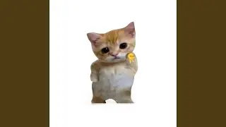 so innocent