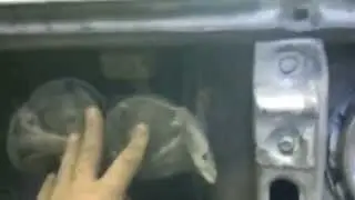 Ремонт Сигнала Дудки