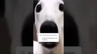 Умираю от страха
