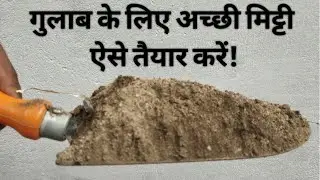 गुलाब के पौधे के लिए ऐसे मिट्टी तैयार करें।। Best soil prepration method for rose plant