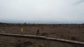 DJI 0047