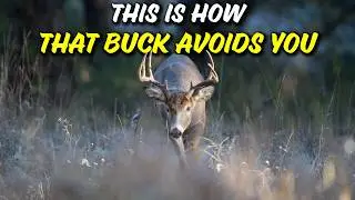 Your bucks have YOU patterned. Here is what GPS data says about deer avoiding hunting pressure!