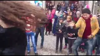 Диловар бо ракоса дар купрукбоши