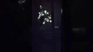 С НОВЫМ ГОДОМ!!!С НОВЫМ СЧАСТЬЕМ!!!