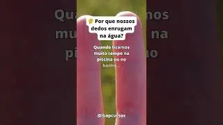 Por que nossos dedos enrugam? 