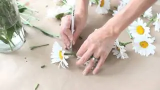 How-To: Daisy Chain