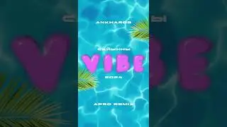 Cайынны vibe 24
