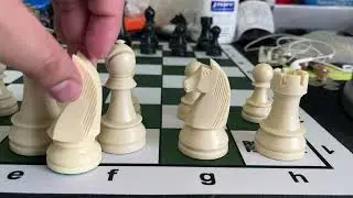 The German Series Plastic Chess Pieces