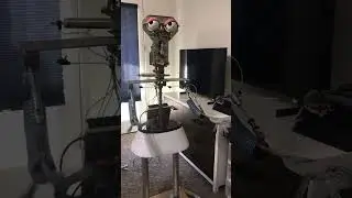 Chuck E Cheese Munch Animatronic Performance Test!