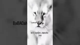 çocukluğumu harcadım bu yasa kadar 🙃