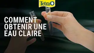 Tetra NutriEvolution : Comment obtenir une eau claire