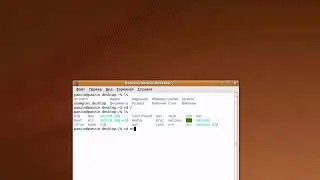 Linux Ubuntu. Работа с файловой системой в командной строке