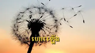 ហោះឡើង