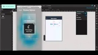How to configure Radio Button