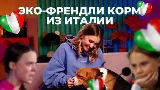 Разбор корма на экологичность / Сухой корм Together / Саша знает