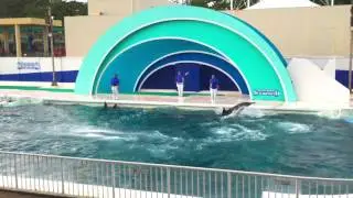 Kamogawa Sea World