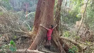 GAK TANGGUNG KERASNYA SAMPEK _MENJERIT SINGSOO DI HAJAR KAYU MANGGERIS