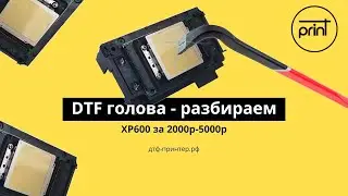 🛠️Разбираем голову в DTF принтере, смотрим манифолд. Epson xp600 #dtf  #printhead