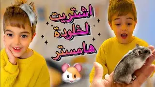 فاجئت خلودة بهامستر أحلامو(ردة فعلو😮🐹)
